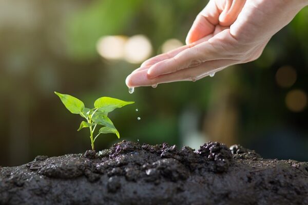 Basic Soil Test