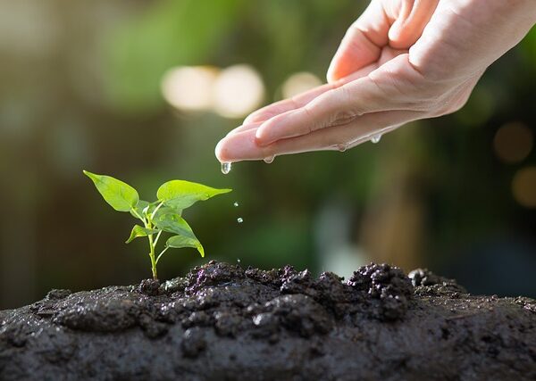 Basic Soil Test